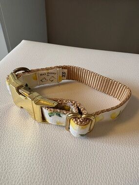 Lemon Print Dog Collar with Gold Hardware - Cream/Gold